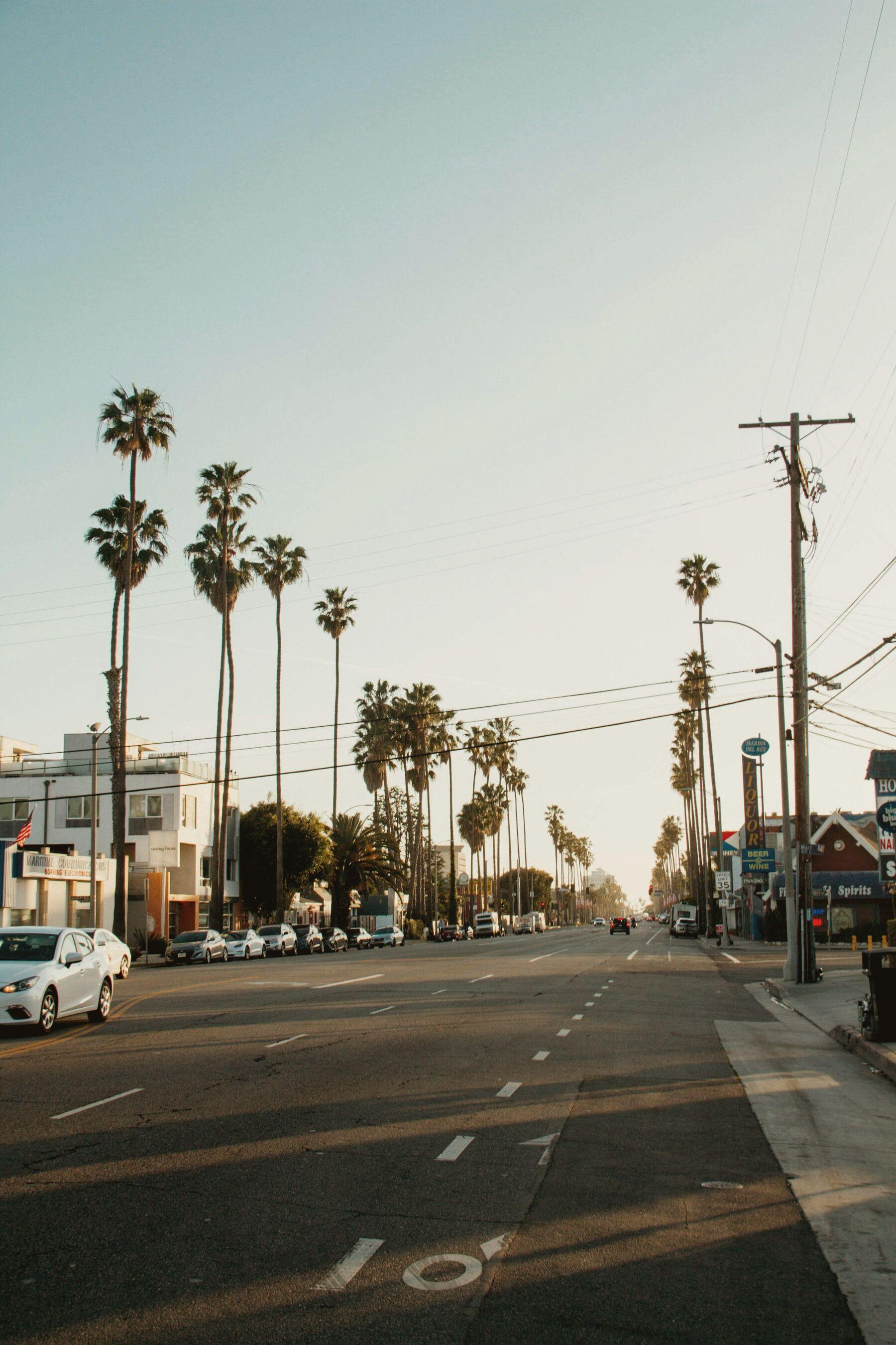 A wide Los Angeles boulevard lined with tall palms in flat afternoon haze.